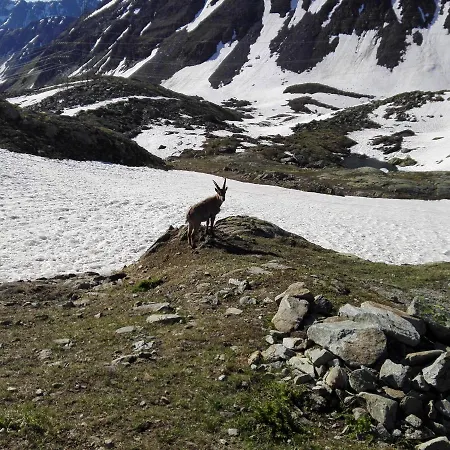 Chalet-schuemli Maisonette Appartamento Ernen
